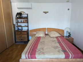 Ecully logement privé attenant de la maison principale
